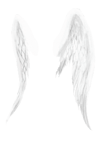 天使の羽根の画像15点 完全無料画像検索のプリ画像 Bygmo