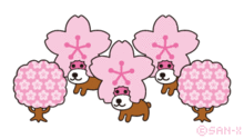 桜の頭のアフロ犬です。
