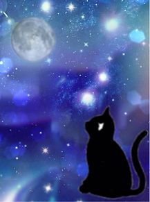 夜空 月 猫の画像31点 4ページ目 完全無料画像検索のプリ画像 Bygmo