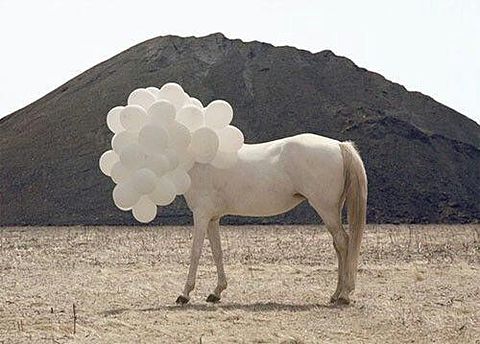 The White Horseの画像 プリ画像