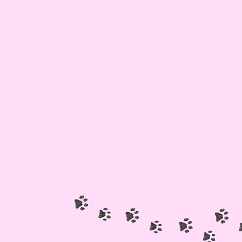 壁紙 猫の足跡の画像1点 完全無料画像検索のプリ画像 Bygmo