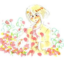秋桜の画像(すみません←に関連した画像)