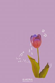 花 紫 綺麗 可愛い 背景 高画質の画像1点 完全無料画像検索のプリ画像 Bygmo