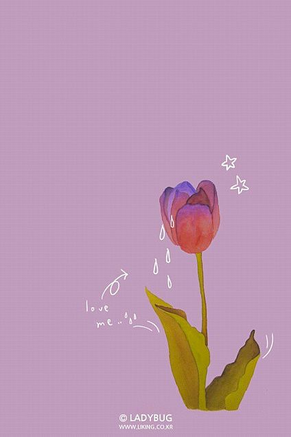 花 紫 綺麗 可愛い 背景 高画質の画像1点 完全無料画像検索のプリ画像 Bygmo