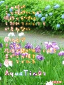 プルメリア〜花唄〜/AquaTimezの画像(プルメリアに関連した画像)