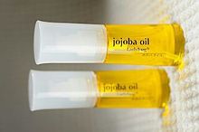 ホホバの実からとれる天然の保湿剤ホホバオイルの画像(オイルに関連した画像)