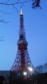 華嵐東京タワー プリ画像