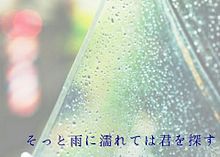 愛藍傘の画像(エキゾチックに関連した画像)