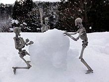 雪遊びの画像(雪遊びに関連した画像)