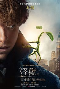 Fantastic Beasts and Where to Find Themの画像(ファンタビに関連した画像)