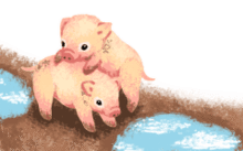 子豚の画像(子豚に関連した画像)