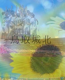 高校野球 鳥取城北の画像(鳥取に関連した画像)
