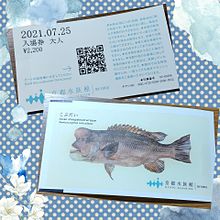 21.07.25 Sunday 京都水族館の画像(京都に関連した画像)