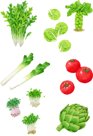 野菜の画像(プリ画像)
