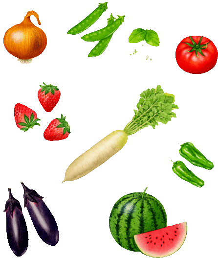 野菜┊﻿果物