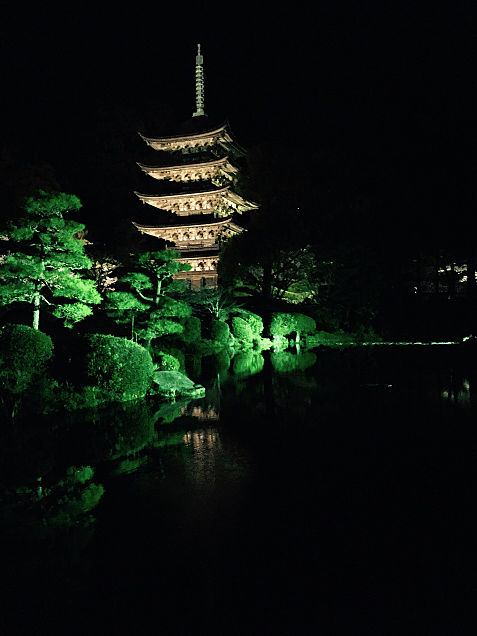 夜の瑠璃光寺五重の塔の画像(プリ画像)