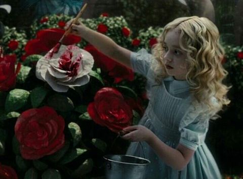 Alice In Wonderland の画像(プリ画像)