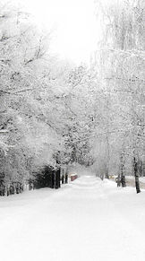 冬景色 綺麗なの画像5点 完全無料画像検索のプリ画像 Bygmo