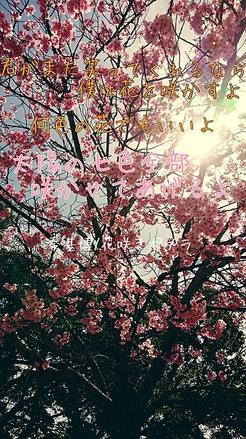 花咲きポプラの画像3点 完全無料画像検索のプリ画像 Bygmo