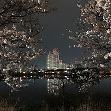 桜 かっこいいの画像1015点 完全無料画像検索のプリ画像 Bygmo