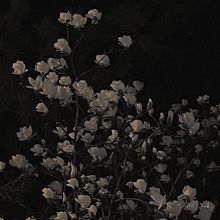 かっこいい 桜の画像1015点 完全無料画像検索のプリ画像 Bygmo