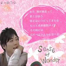 sense of wonderの画像(プリ画像)