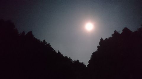 月です！の画像(プリ画像)