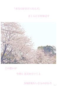いきものがかり Sakura 歌詞の画像46点 完全無料画像検索のプリ画像 Bygmo