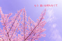 嵐  season  歌詞画像の画像(ヲタバレ防止に関連した画像)
