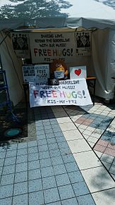 FREE HUGS！京セラドーム参戦したよ‼️の画像(Free！に関連した画像)