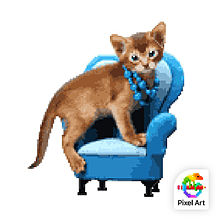ソファに乗る猫の画像(ソファに関連した画像)