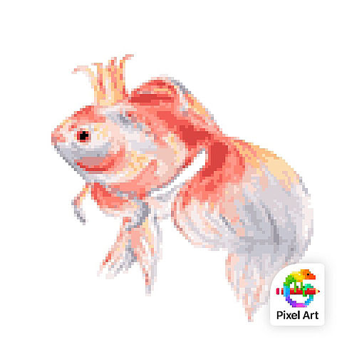 金魚の画像(プリ画像)