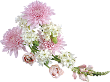 ナチュラル 花の画像377点 完全無料画像検索のプリ画像 Bygmo