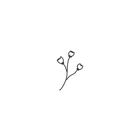 シンプル 花の画像8460点 99ページ目 完全無料画像検索のプリ画像 Bygmo