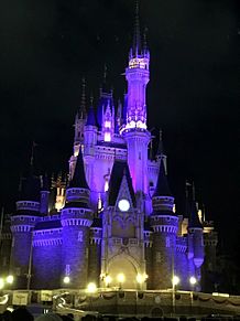 ディズニー 夜景 シンデレラ城の画像117点 完全無料画像検索のプリ画像 Bygmo