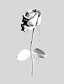 スマホ 壁紙 薔薇の画像13点 完全無料画像検索のプリ画像 Bygmo