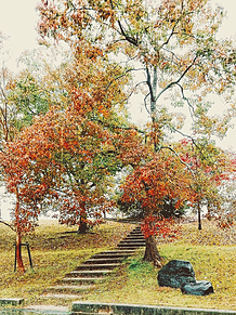 秋の風景。の画像(自然に関連した画像)