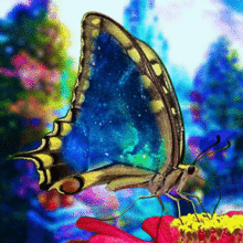 蝶々の画像(綺麗 蝶に関連した画像)