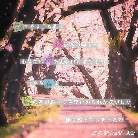 桜の詩の画像(プリ画像)