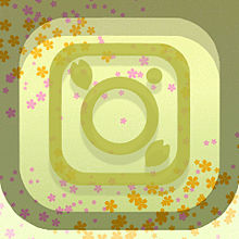 Instagramの画像(instagramに関連した画像)