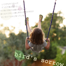 bird's sorrowの画像(bird'ssorrowに関連した画像)