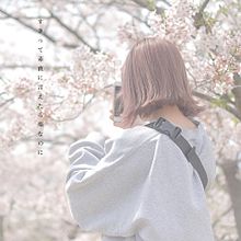 桜 かわいいの画像7307点 完全無料画像検索のプリ画像 Bygmo