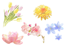 スタンプ 花の画像550点 完全無料画像検索のプリ画像 Bygmo