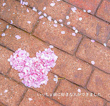 ミッキー 桜の画像48点 完全無料画像検索のプリ画像 Bygmo