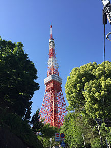 無料印刷可能東京タワー 壁紙 高画質 花の画像