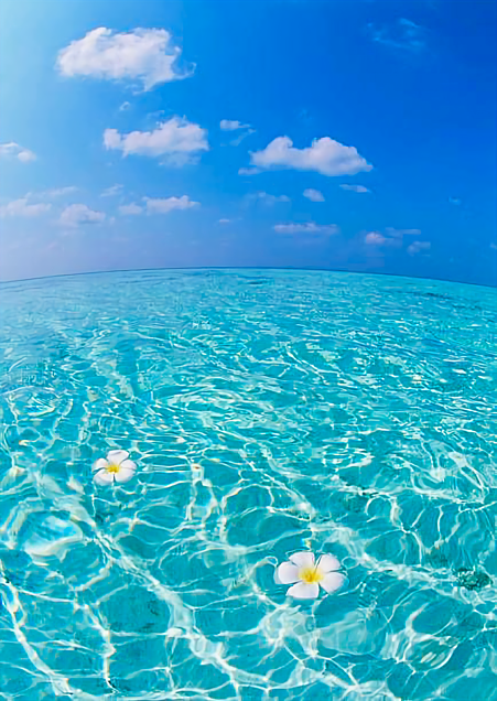 モルディブ 海の画像11点 完全無料画像検索のプリ画像 Bygmo