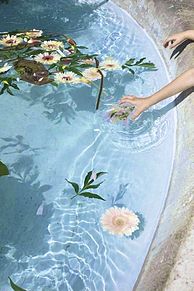 Water pondの画像(花 水 壁紙に関連した画像)