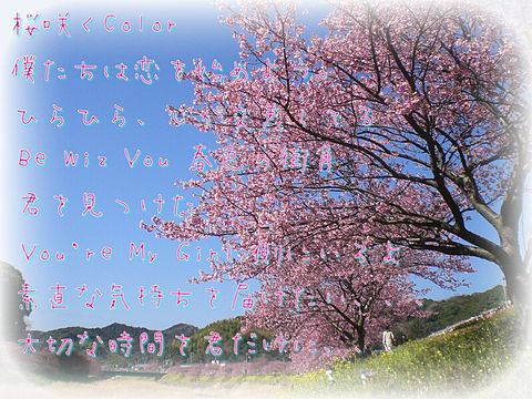 桜咲くColor 2の画像(プリ画像)
