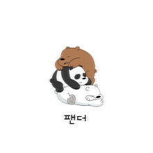 팬더パンダ韓国の画像(韓国語 愛に関連した画像)