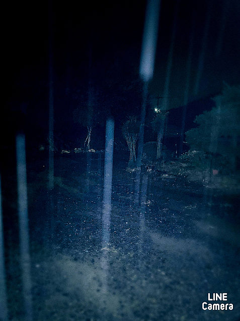 寂しい青い雨の画像 プリ画像